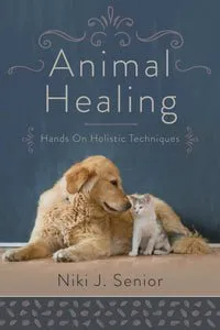 Llewellyn Worldwide LTD Earrings Animal Healing