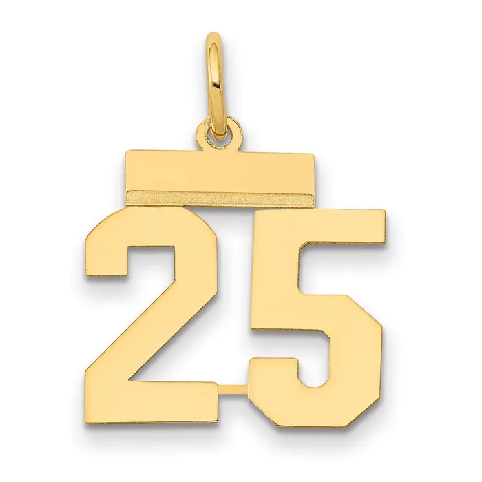 14k Yellow Gold Small Polished Number 25 Charm Goldia Charm Necklaces