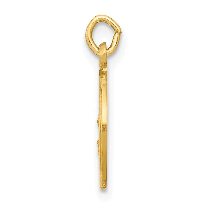 14k Yellow Gold Our Lady Of The Assumption Medal Charm TreasureFineJewelers Charm Necklaces