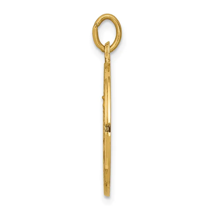 Charm Necklaces 14k Yellow Gold Our Lady of Mt Carmel Medal Charm TreasureFineJewelers