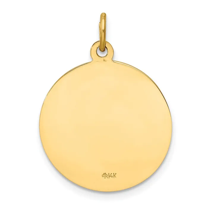 Charm Necklaces 14k Yellow Gold Our Lady of Mt Carmel Medal Charm TreasureFineJewelers