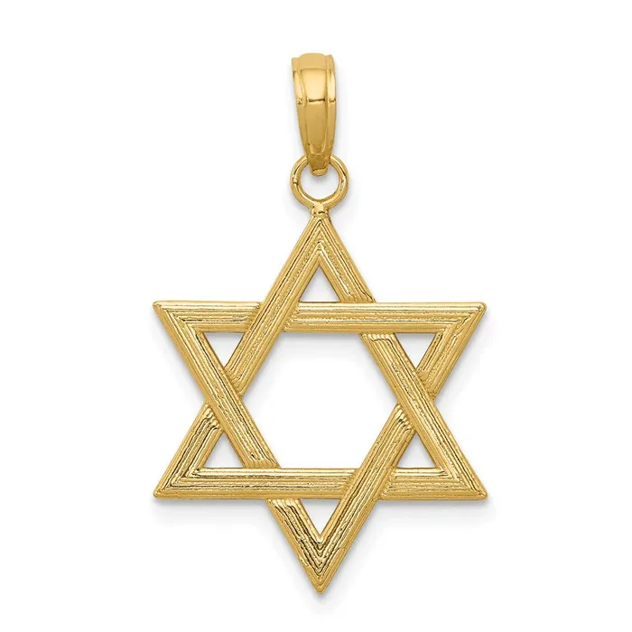 TreasureFineJewelers Necklaces 14k Polished Star of David Pendant