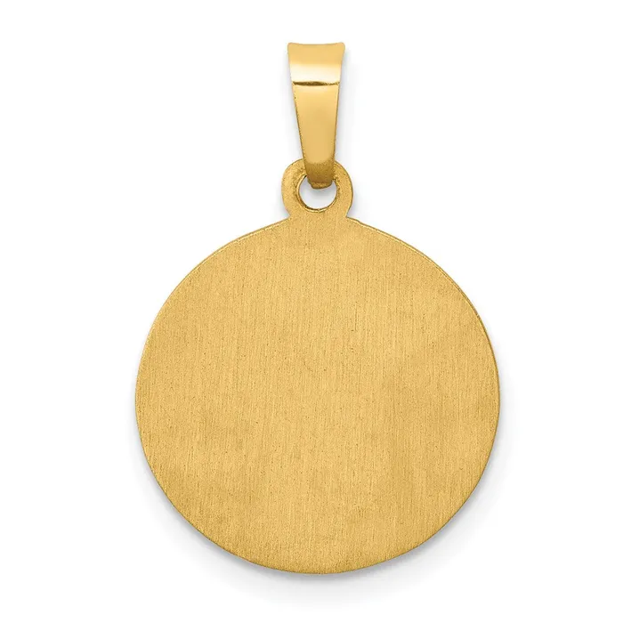 TreasureFineJewelers Necklaces 14k Yellow Gold Polished and Satin St Lucy Medal Hollow Pendant